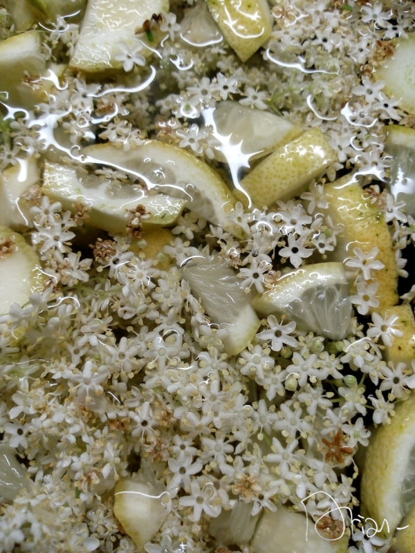 la légendaire "limo d'suro" de Kernaveno en préparation